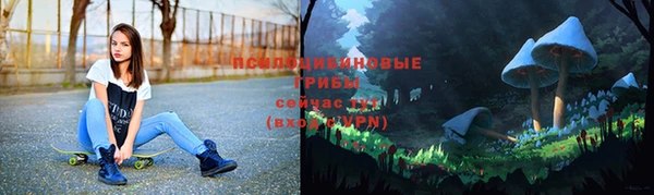 кокс Лабытнанги